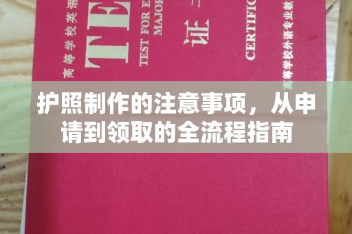 周口护照制作的注意事项，从申请到领取的全流程指南